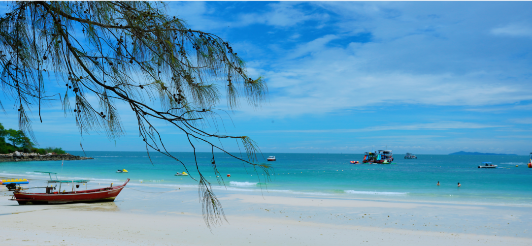 640 (10).png 640 (10).png