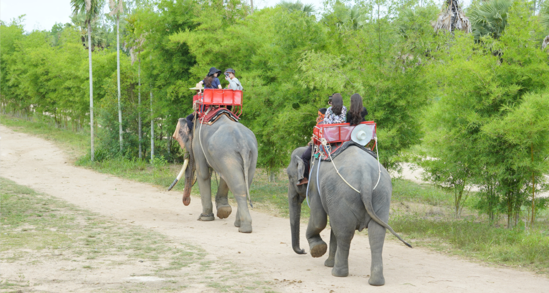 640 (15).png 640 (15).png